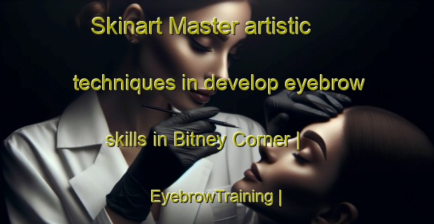 Skinart Master artistic techniques in develop eyebrow skills in Bitney Corner | EyebrowTraining | EyebrowClasses | SkinartTraining-United States
